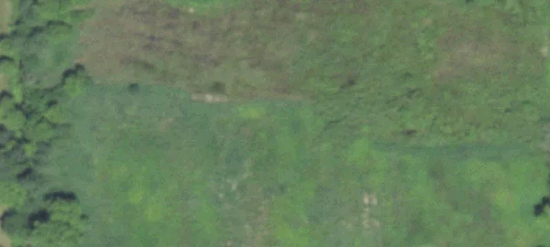 Waupaca, WI 54981