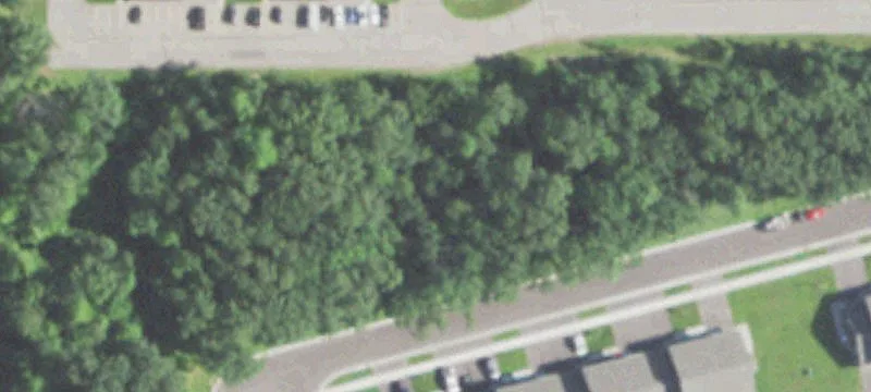 Waupaca, WI 54981