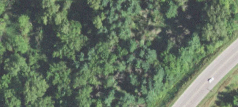 Whitehall, WI 54773