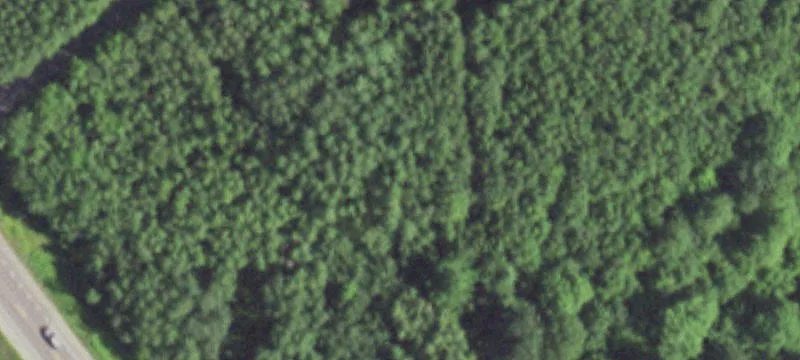 Rhinelander, WI 54501