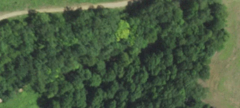 Wilton, WI 54670