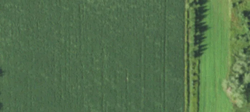 Auburndale, WI 54412