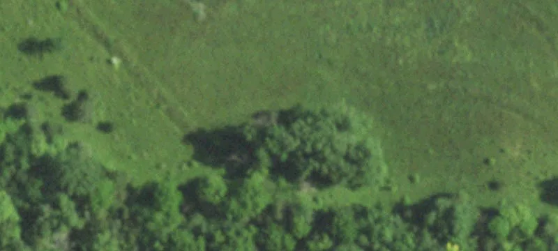 8356th Balfanz Rd
