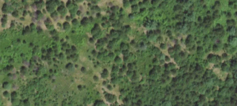 Necedah, WI 54646
