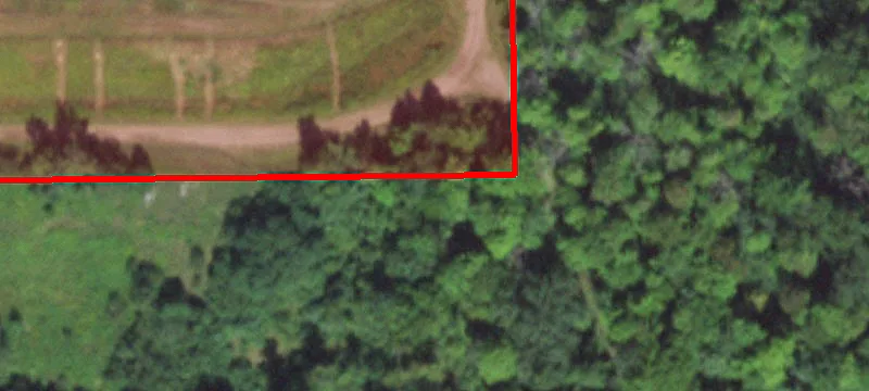 Stevens Point, WI 54481