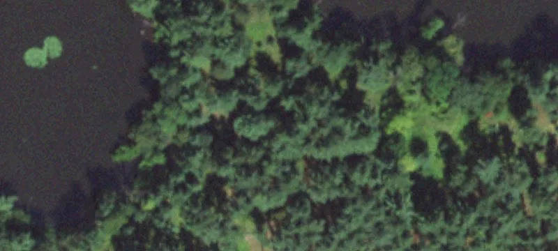 Stevens Point, WI 54481