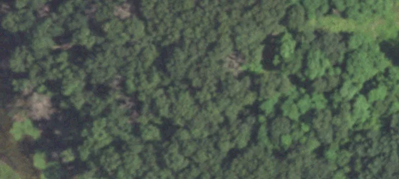 Wild Rose, WI 54984