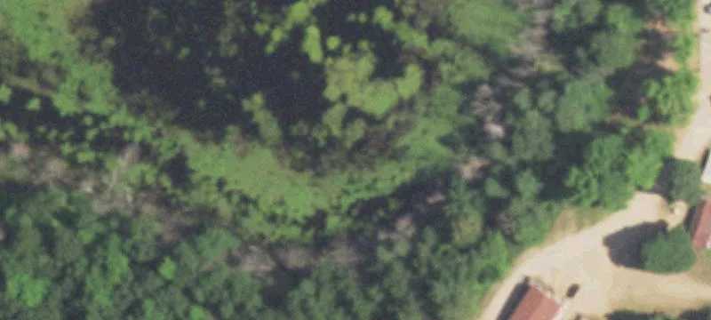 Wild Rose, WI 54984
