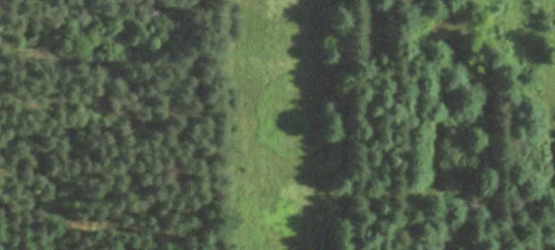 Wild Rose, WI 54984