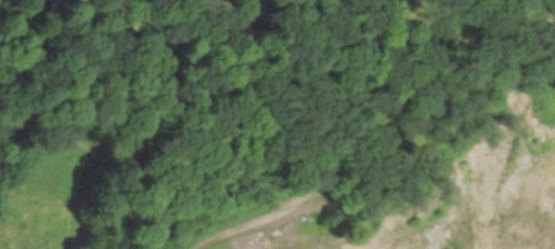 Tigerton, WI 54486