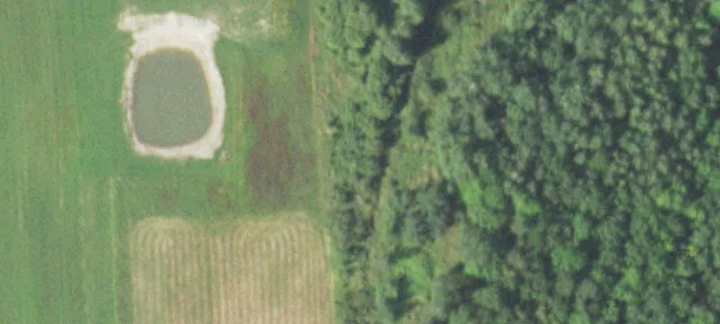 Pittsville, WI 54466