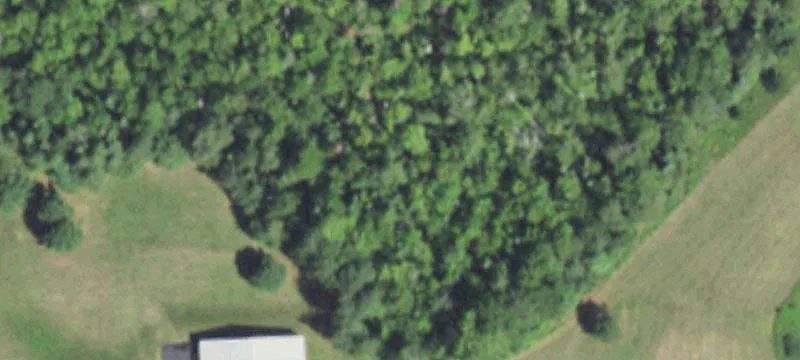 Tomahawk, WI 54487