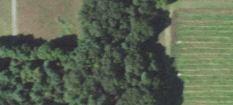 Friendship, WI 53934