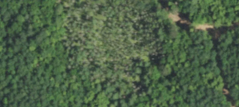 Pearson, WI 54462