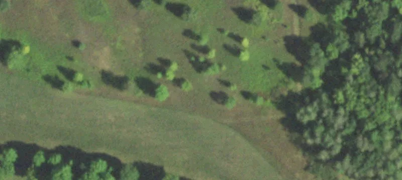 Rice Lake, WI 54868
