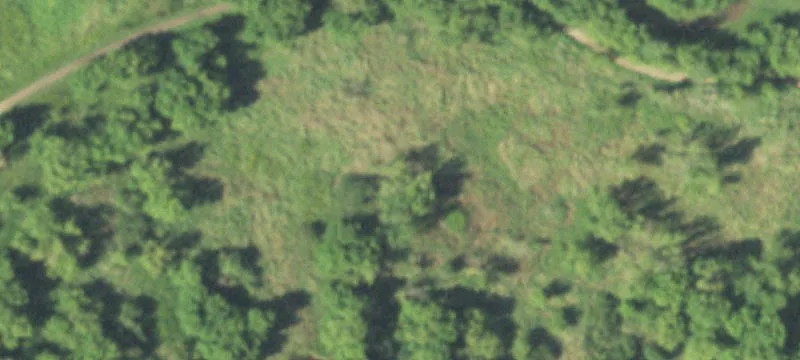 Edgar, WI 54426