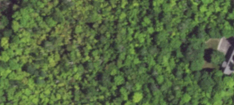 Ellison Bay, WI 54210