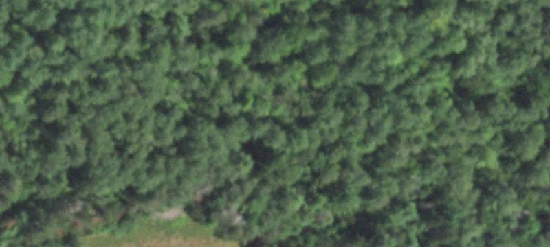 Three Lakes, WI 54562
