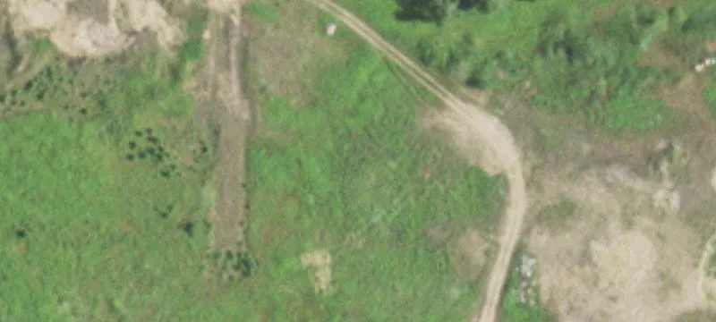 Birnamwood, WI 54414