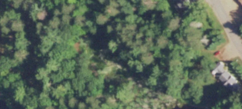 Hazelhurst, WI 54531