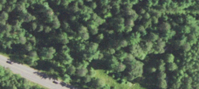 Woodruff, WI 54568