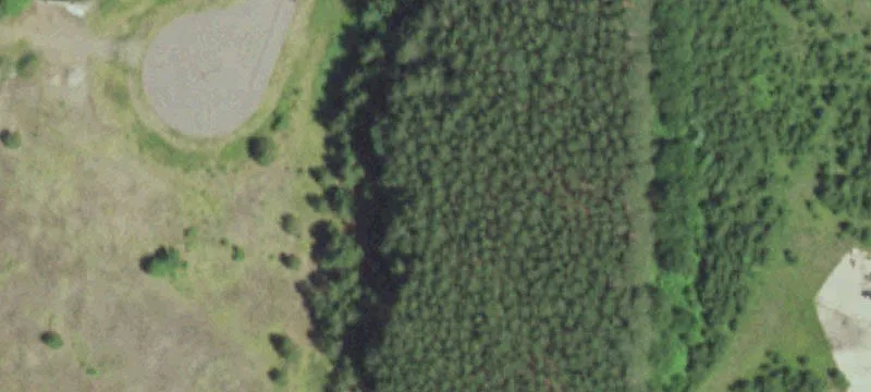 Mercer, WI 54547