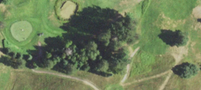 Harshaw, WI 54529