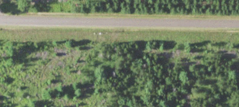 Webster, WI 54893