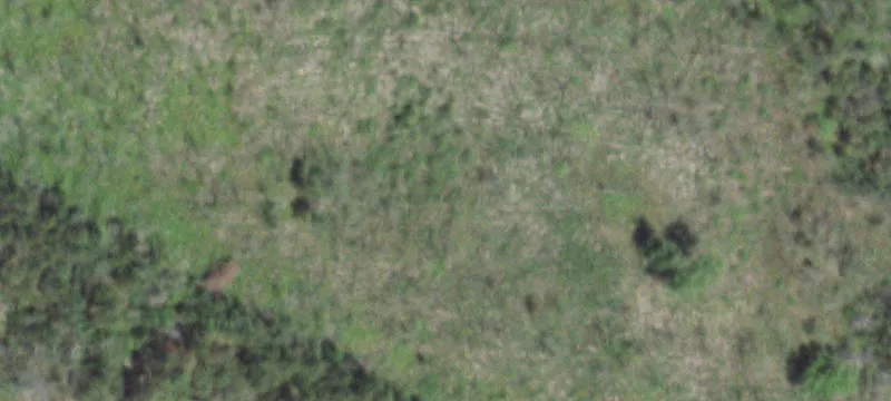 Necedah, WI 54646