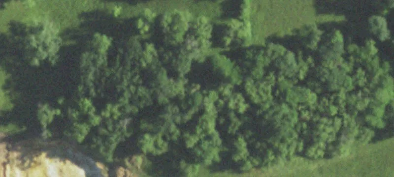 Argyle, WI 53504