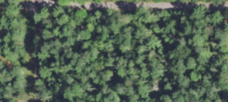 499 Sunrise Ln