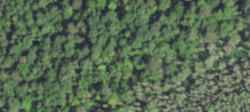 Rhinelander, WI 54501