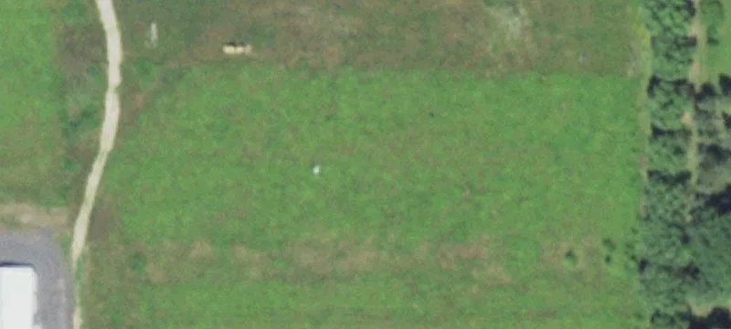 Thorp, WI 54771