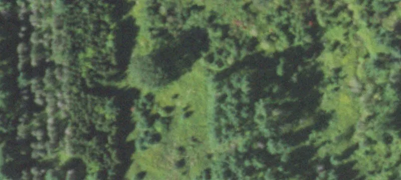 Neillsville, WI 54456