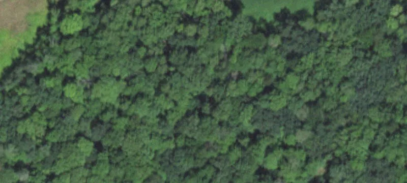 Saint Croix Falls, WI 54024