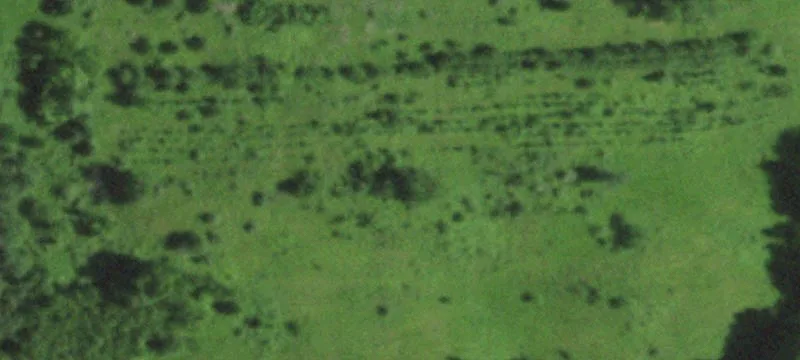 Wonewoc, WI 53968