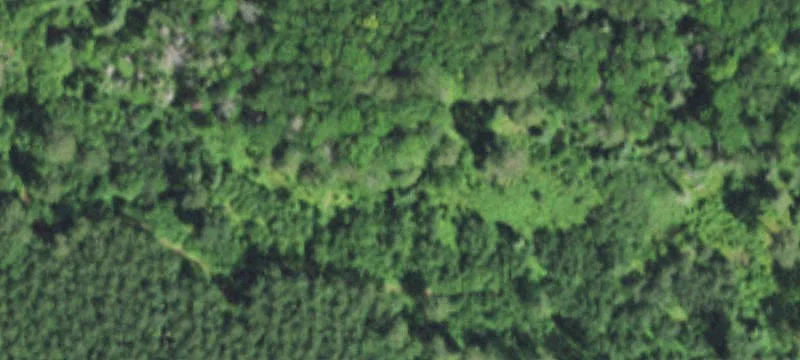 Woodruff, WI 54568