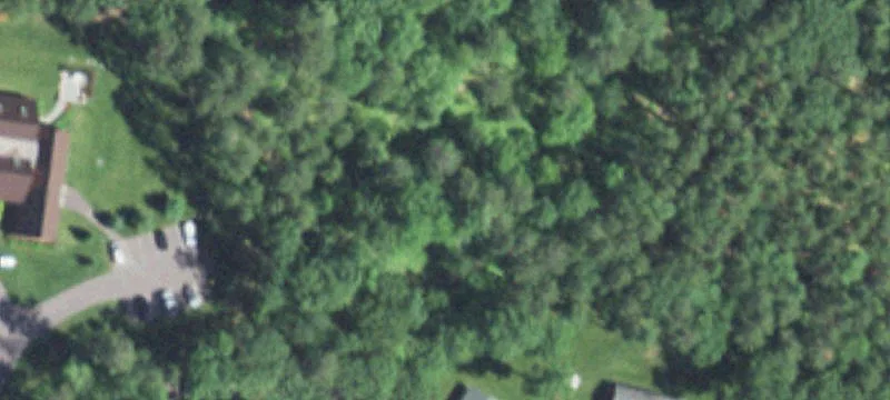 13870 Woodland Ln