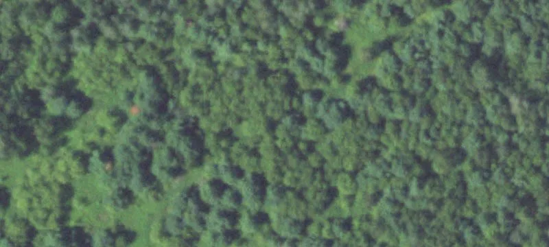 Turtle Lake, WI 54889