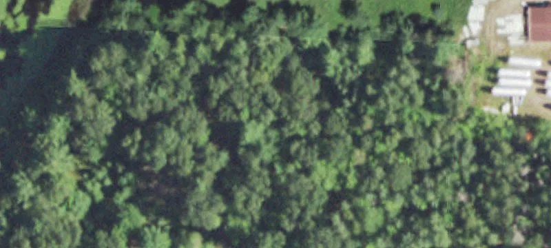 Woodruff, WI 54568