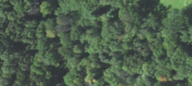 Neillsville, WI 54456