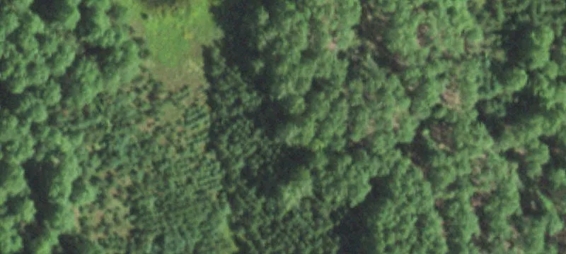 Irma, WI 54442