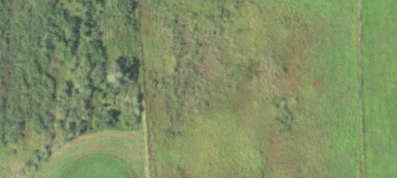 Pittsville, WI 54466