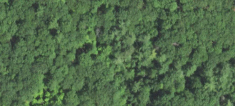 Hazelhurst, WI 54531