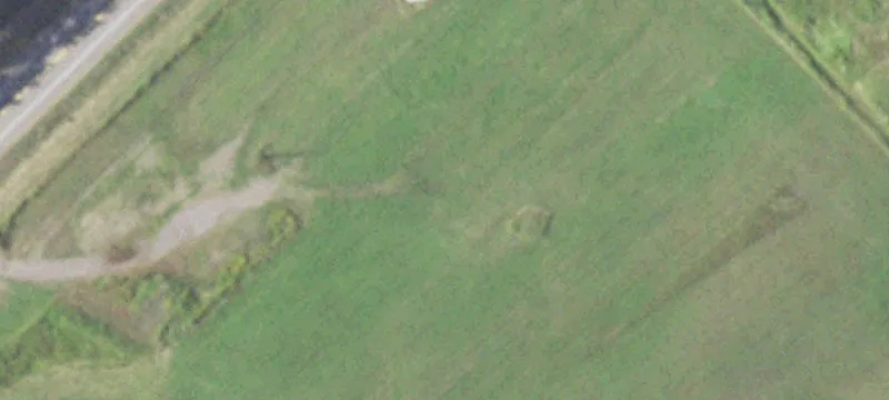 Gleason, WI 54435