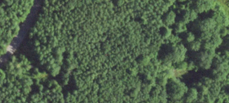 Rhinelander, WI 54501
