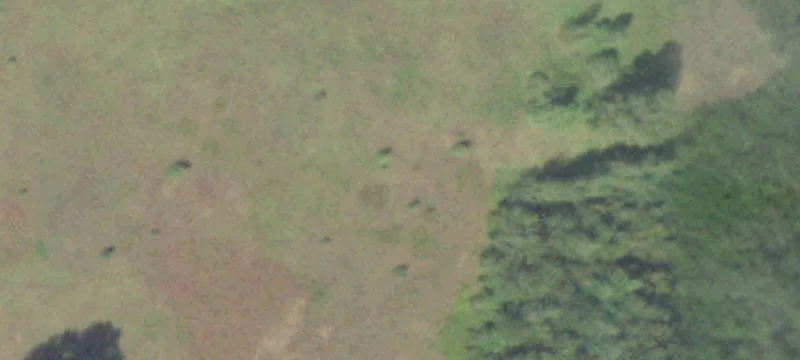 Tomah, WI 54660