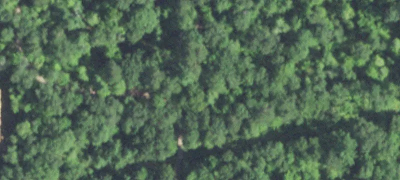 3700 Krulls Deer Path