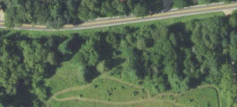 1230 Mdw Hl Dr