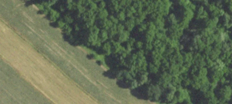 Argyle, WI 53504